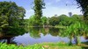 Parque La Llovizna, Guayana (foto de Adalberto Jos&eacute; P&eacute;rez L&oacute;pez)