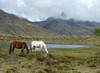 Laguna Mucubaj&iacute; (foto de Sophie Robson)